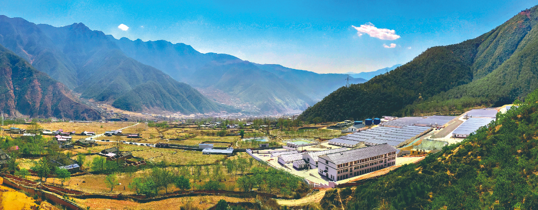 鐵騎力士集團(tuán)與涼山州喜德縣人民政府共同建成30萬頭生豬現(xiàn)代循環(huán)養(yǎng)殖擴(kuò)繁場(chǎng)，直接帶動(dòng)當(dāng)?shù)刎毨?359戶，實(shí)現(xiàn)戶均年增收3000-5000元。.jpg