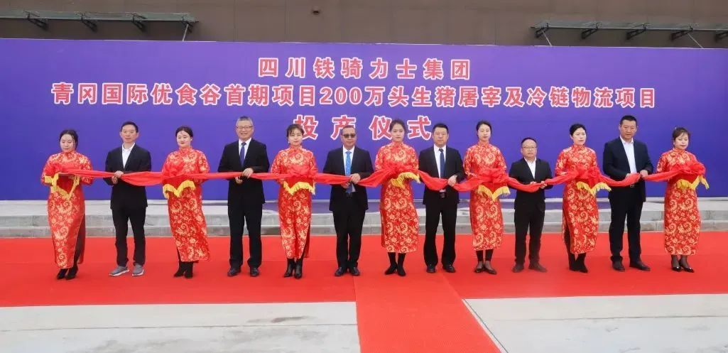 歷時(shí)2年！又一重大項(xiàng)目正式投產(chǎn)！